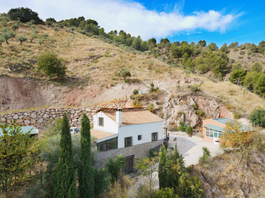 Finca - Cortijo El Burgo Málaga - image 6
