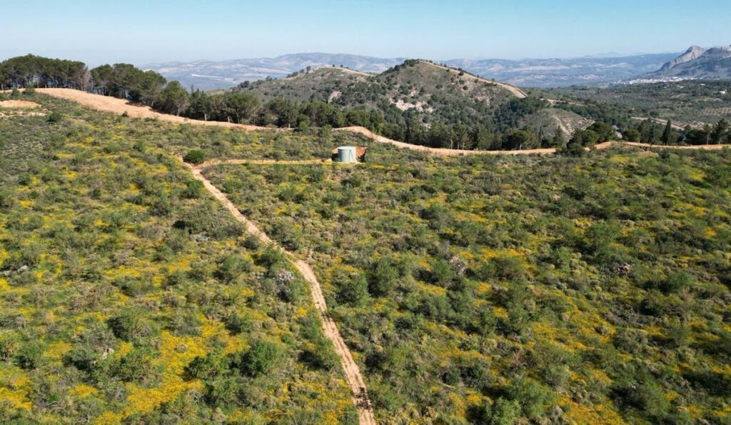 Land Archidona Málaga - image 8