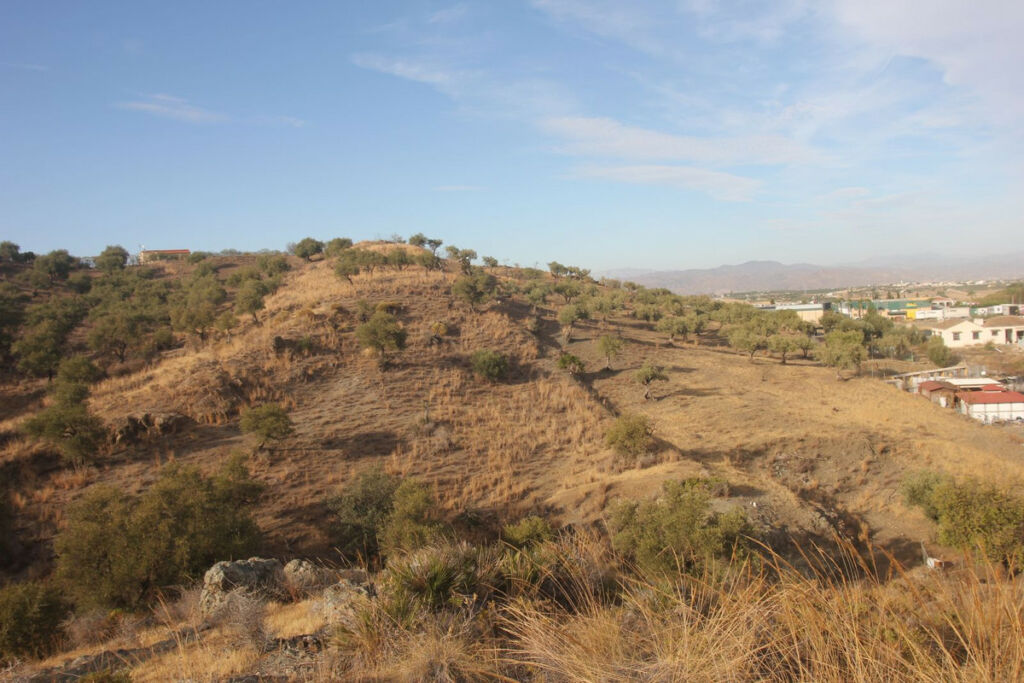Land Coín Málaga - image 8