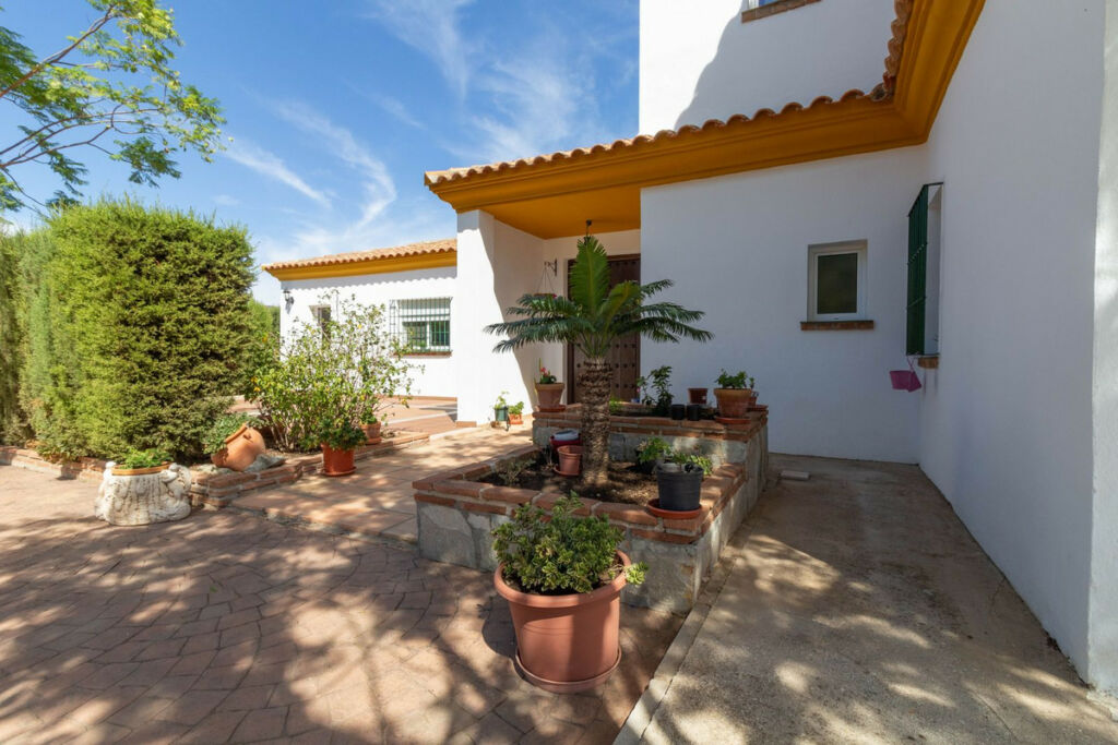 Finca - Cortijo Mijas Costa Málaga - image 8