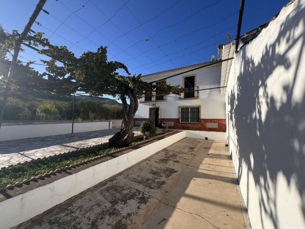 Finca - Cortijo Pizarra Málaga - image 8