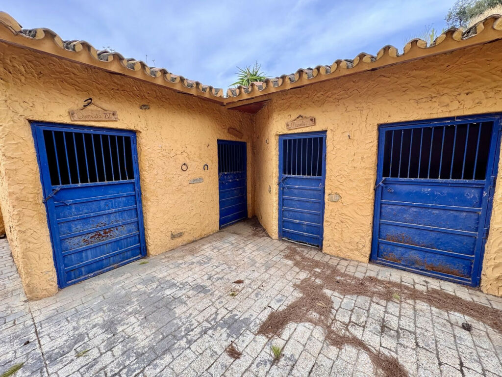 Finca - Cortijo Málaga Málaga - image 84