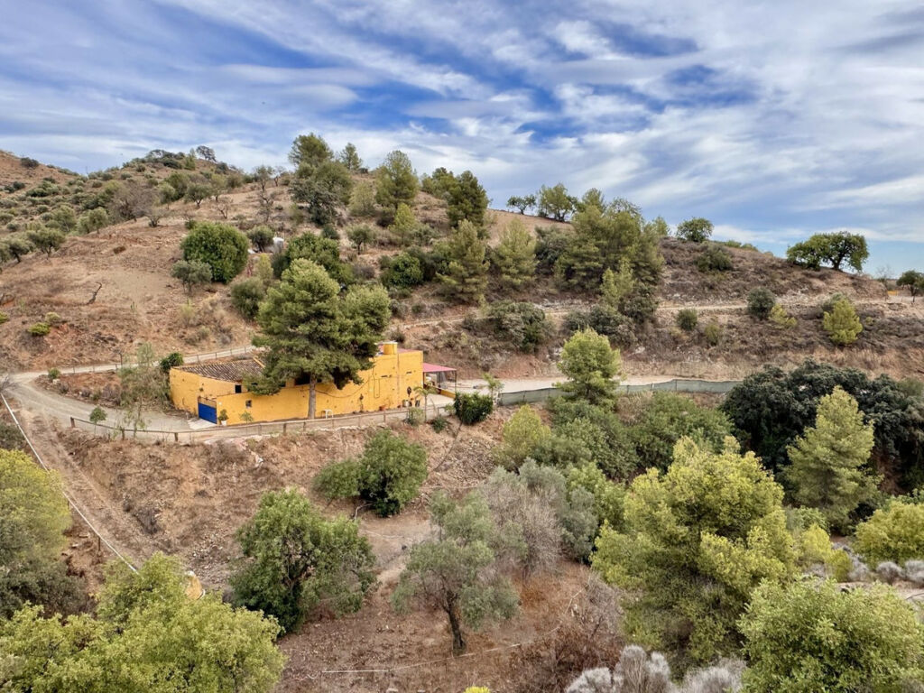 Finca - Cortijo Málaga Málaga - image 89
