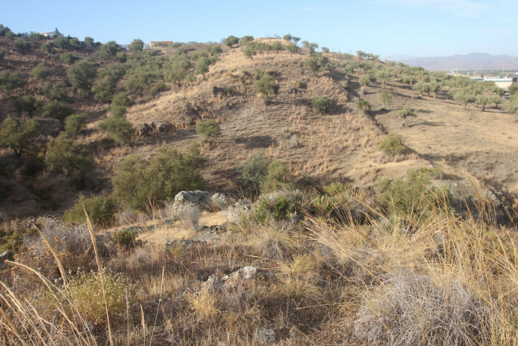 Land Coín Málaga - image 9