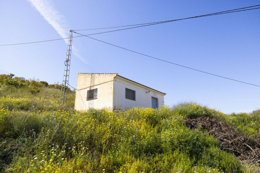 Finca - Cortijo Algarrobo Málaga - image 9
