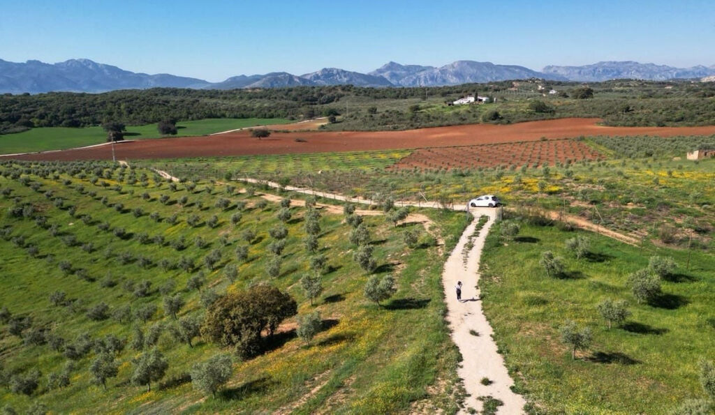 Land Archidona Málaga - image 9