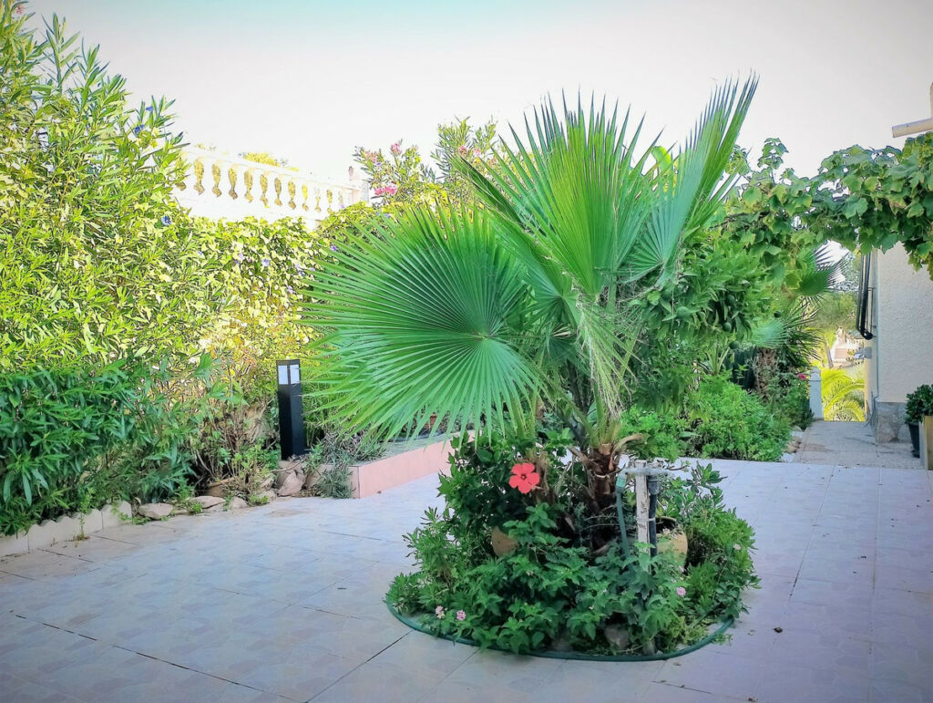Detached Villa Los Balcones Alicante - image 10