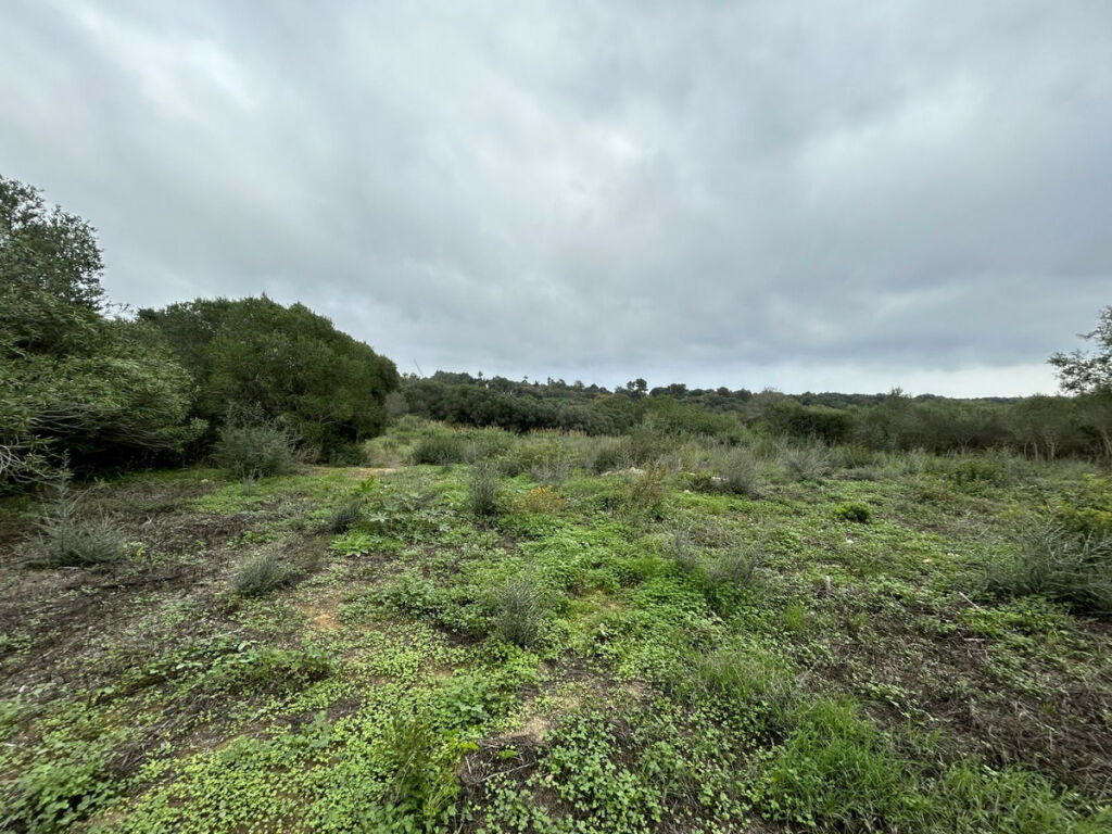 Residential Plot Sotogrande Alto Cádiz