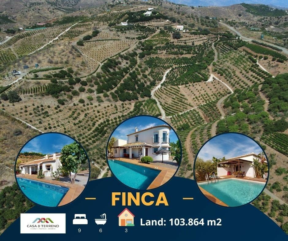 Detached Villa Benajarafe Málaga