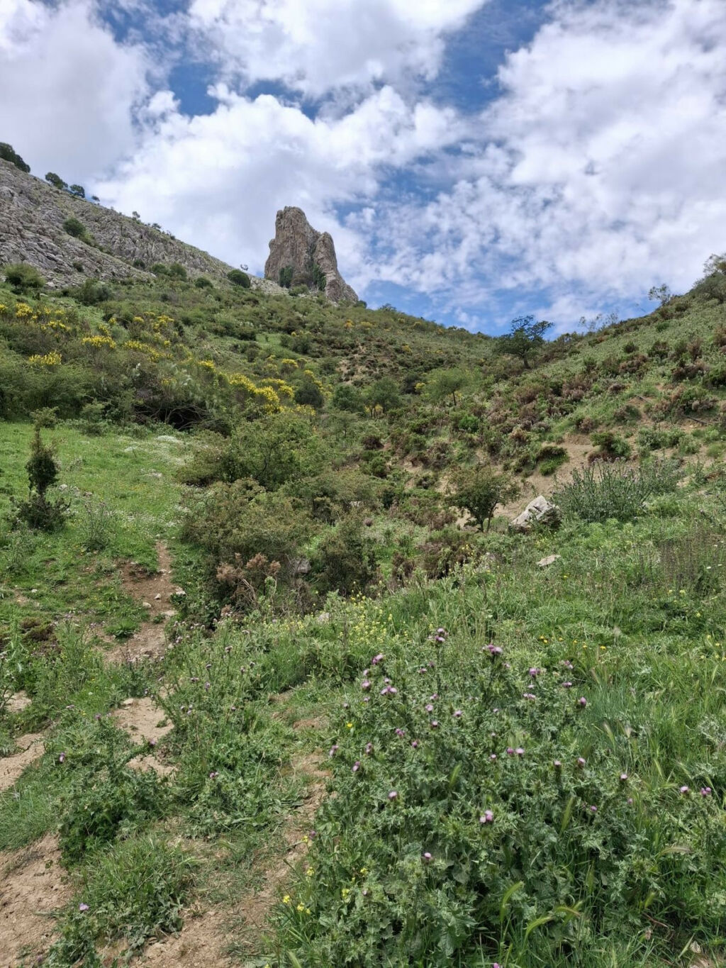 Land Alfarnatejo Málaga - image 10