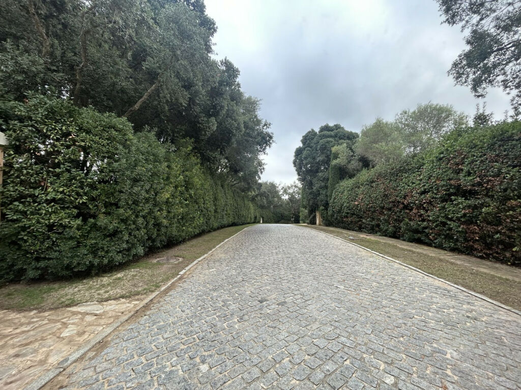 Residential Plot Sotogrande Alto Cádiz - image 11