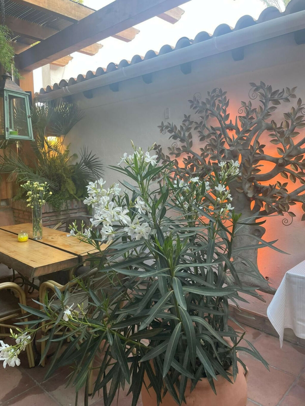 Restaurant Nueva Andalucía Málaga - image 25