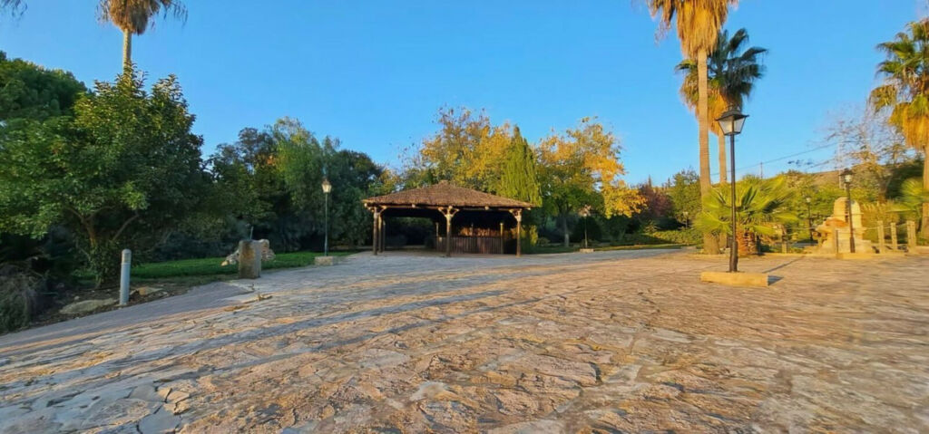 Detached Villa Arriate Málaga - image 12