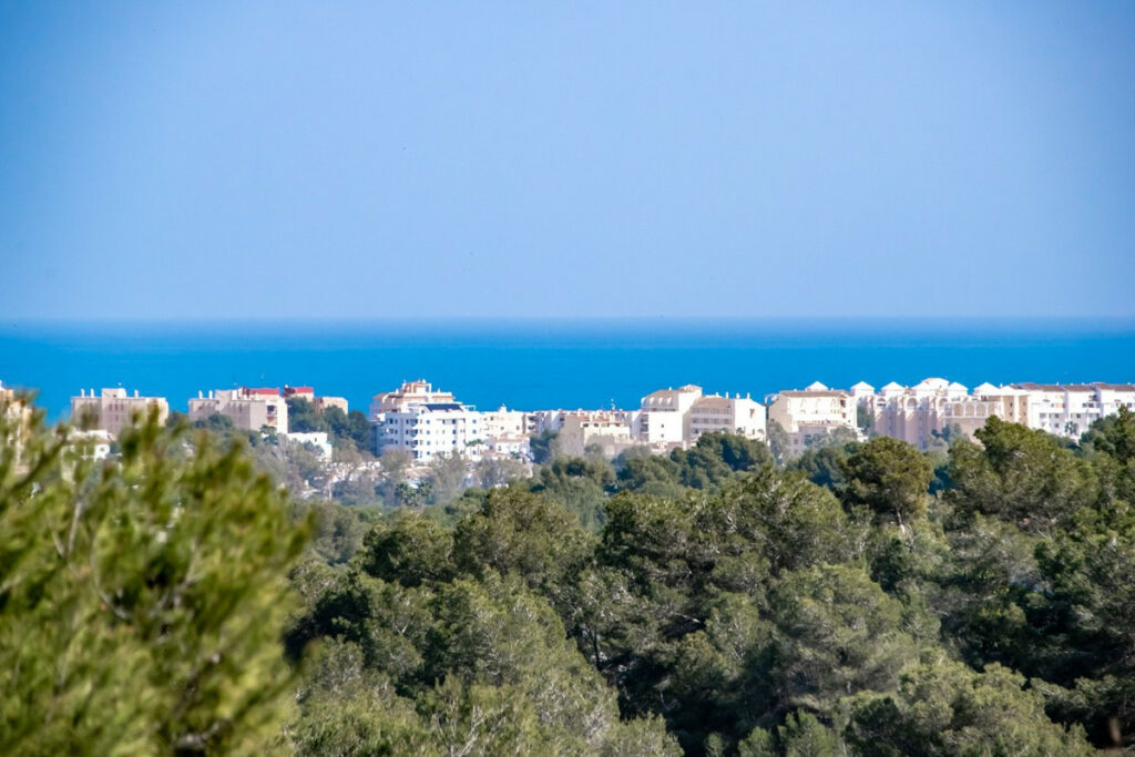 Detached Villa Javea Alicante - image 2