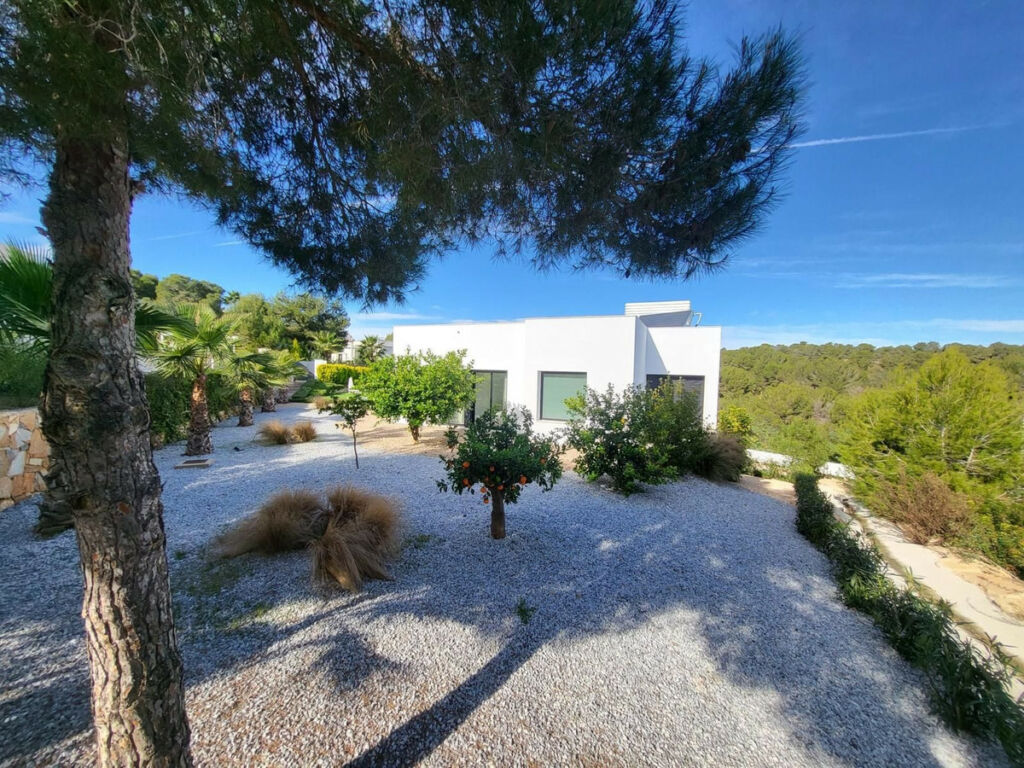 Detached Villa Orihuela Costa Alicante - image 22