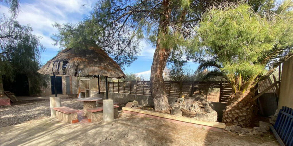 Detached Villa Jumilla Murcia - image 11