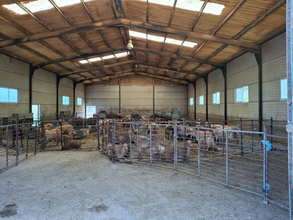 Land Alfarnatejo Málaga - image 16