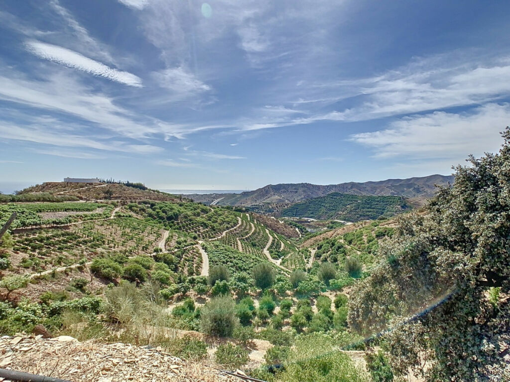 Detached Villa Benajarafe Málaga - image 16