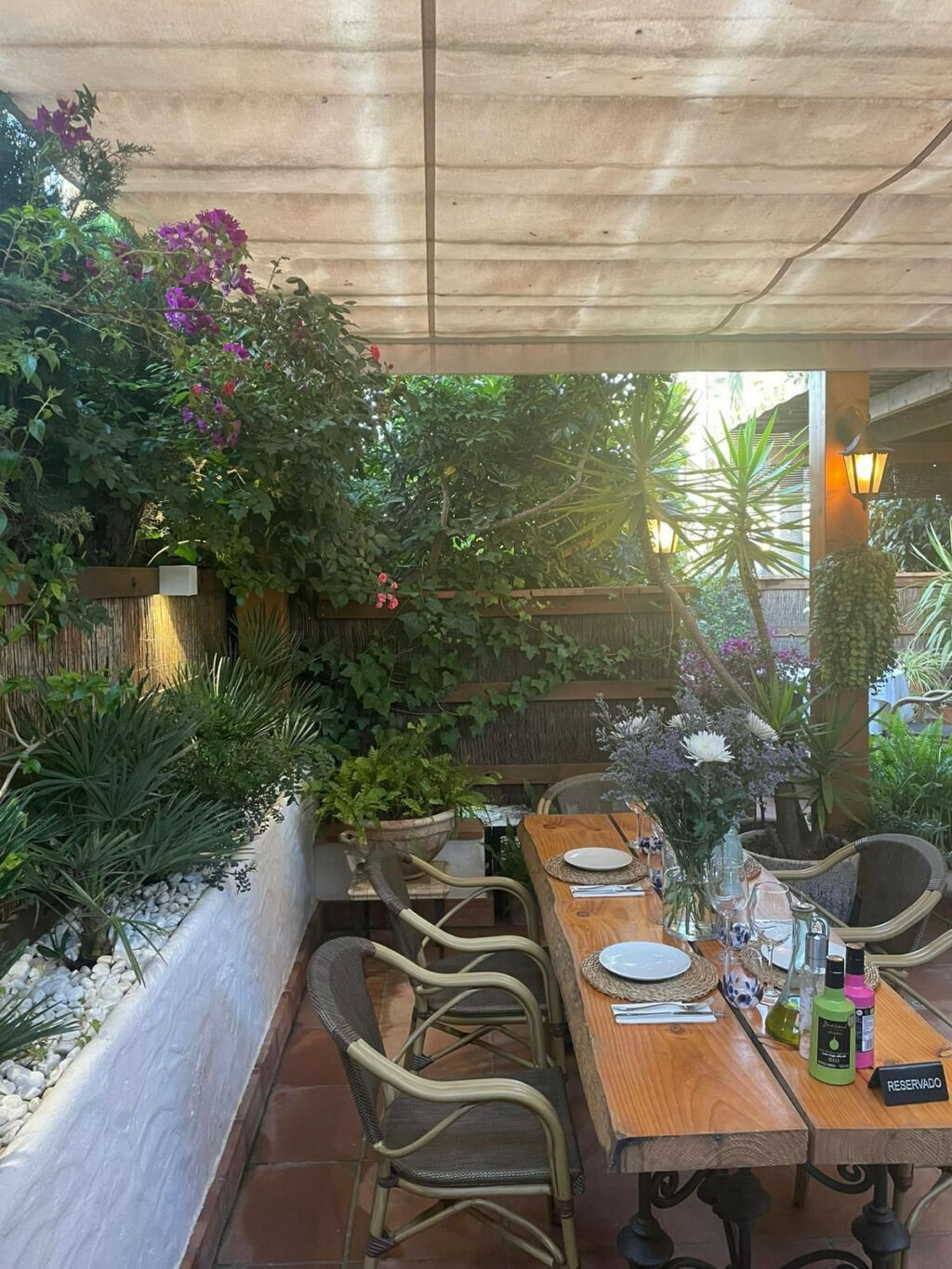 Restaurant Nueva Andalucía Málaga - image 16