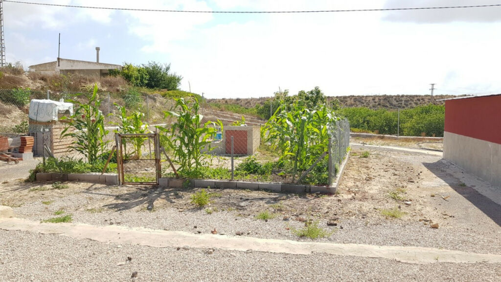 Finca - Cortijo Los Montesinos Alicante - image 18
