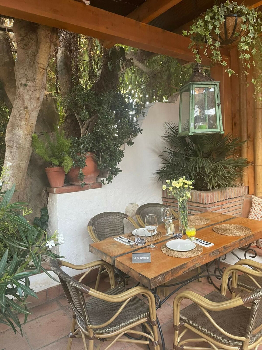 Restaurant Nueva Andalucía Málaga - image 17