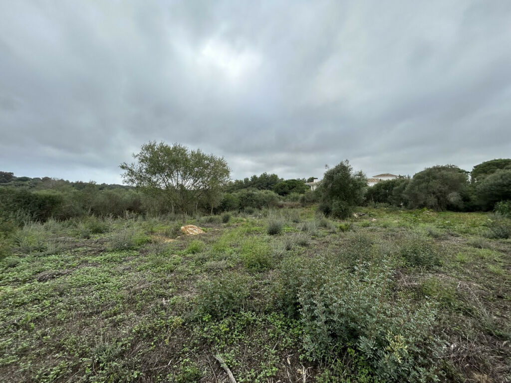 Residential Plot Sotogrande Alto Cádiz - image 2
