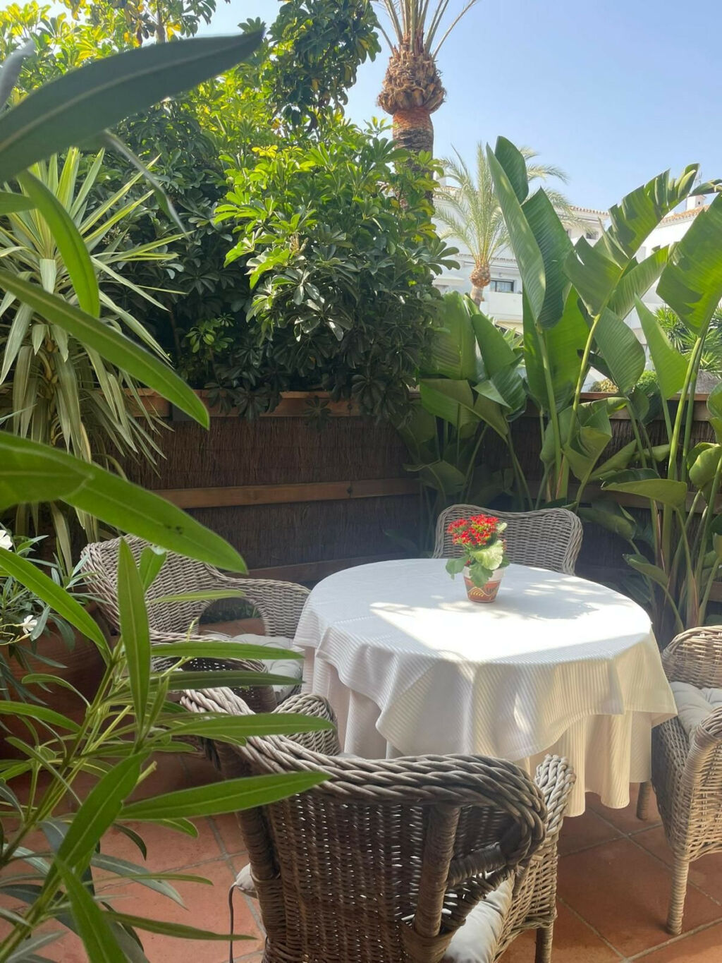 Restaurant Nueva Andalucía Málaga - image 6
