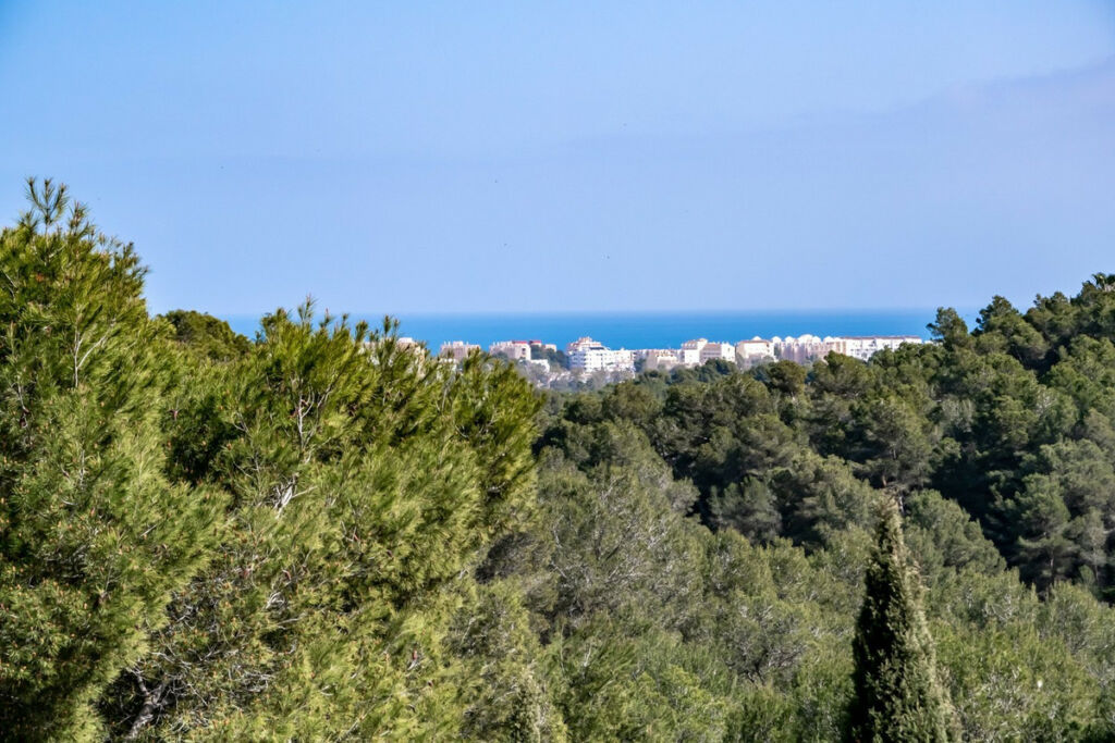 Detached Villa Javea Alicante - image 4
