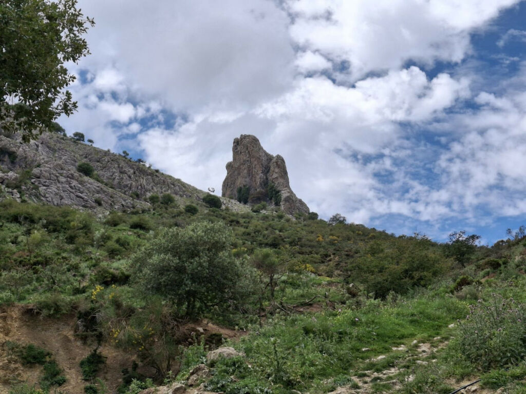 Land Alfarnatejo Málaga - image 2