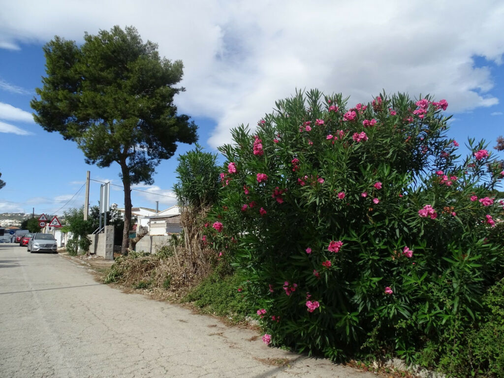 Residential Plot Teulada Alicante - image 2