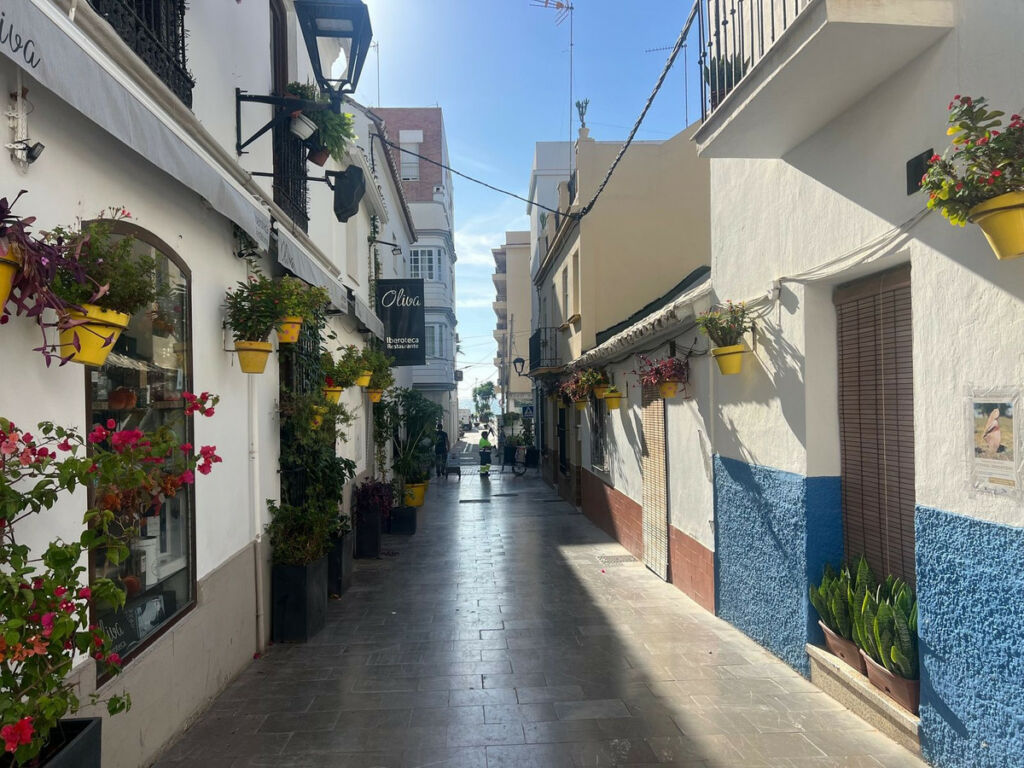 Residential Plot Estepona Málaga - image 2