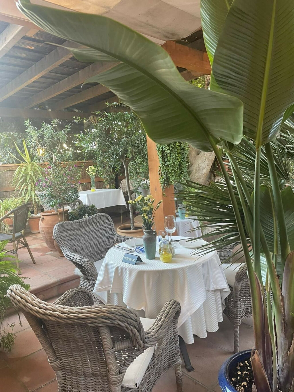 Restaurant Nueva Andalucía Málaga - image 18