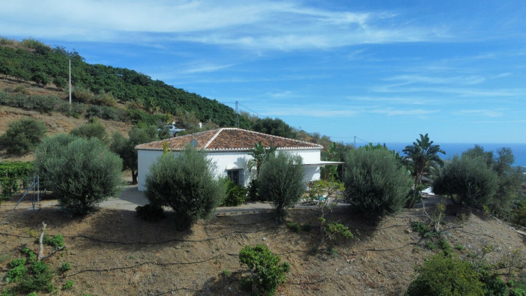 Detached Villa Benajarafe Málaga - image 20