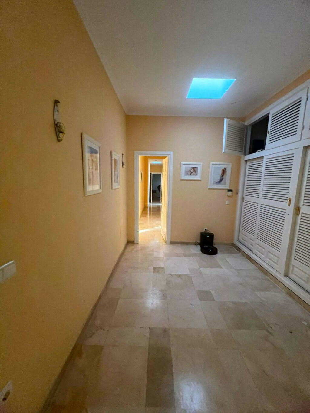 Detached Villa Elviria Málaga - image 29