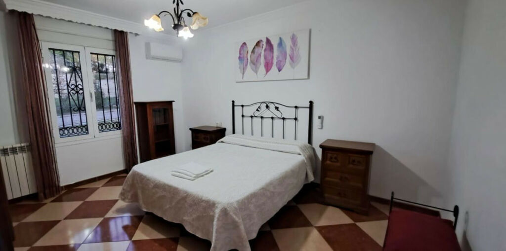 Detached Villa Arriate Málaga - image 20