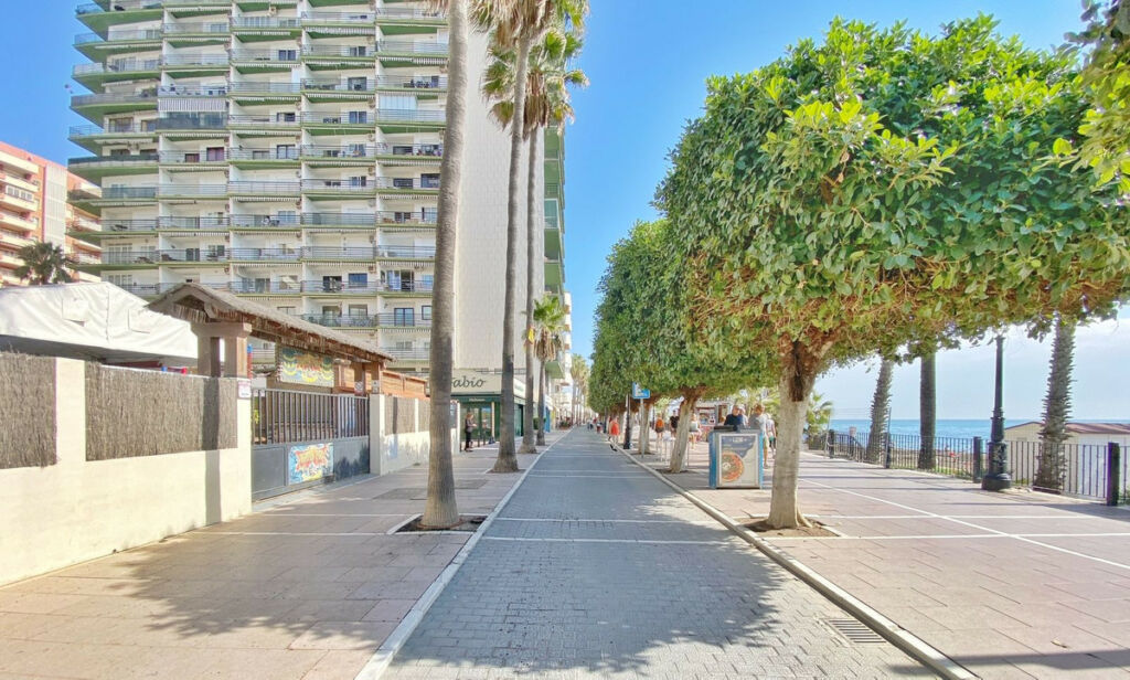 Office Marbella Málaga - image 22