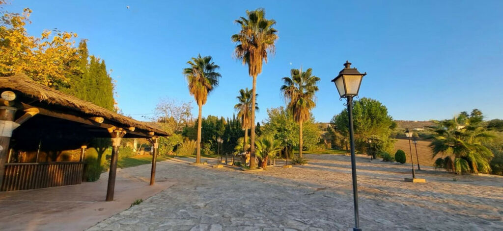 Detached Villa Arriate Málaga - image 22