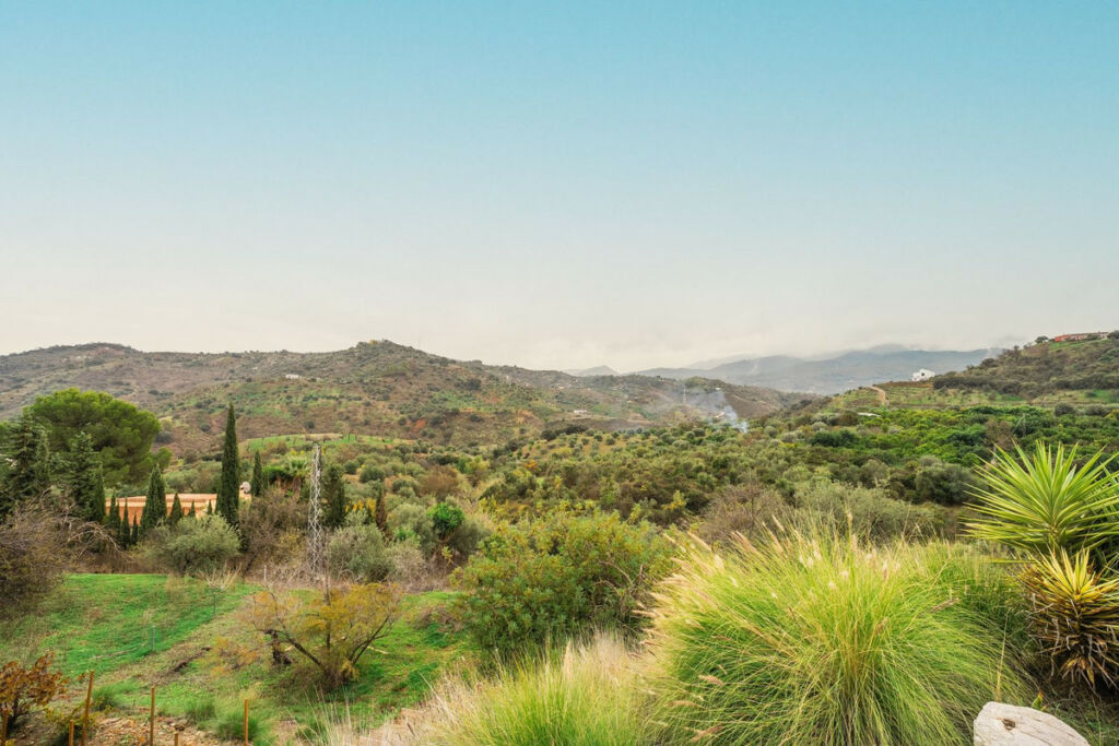 Detached Villa Monda Málaga - image 24