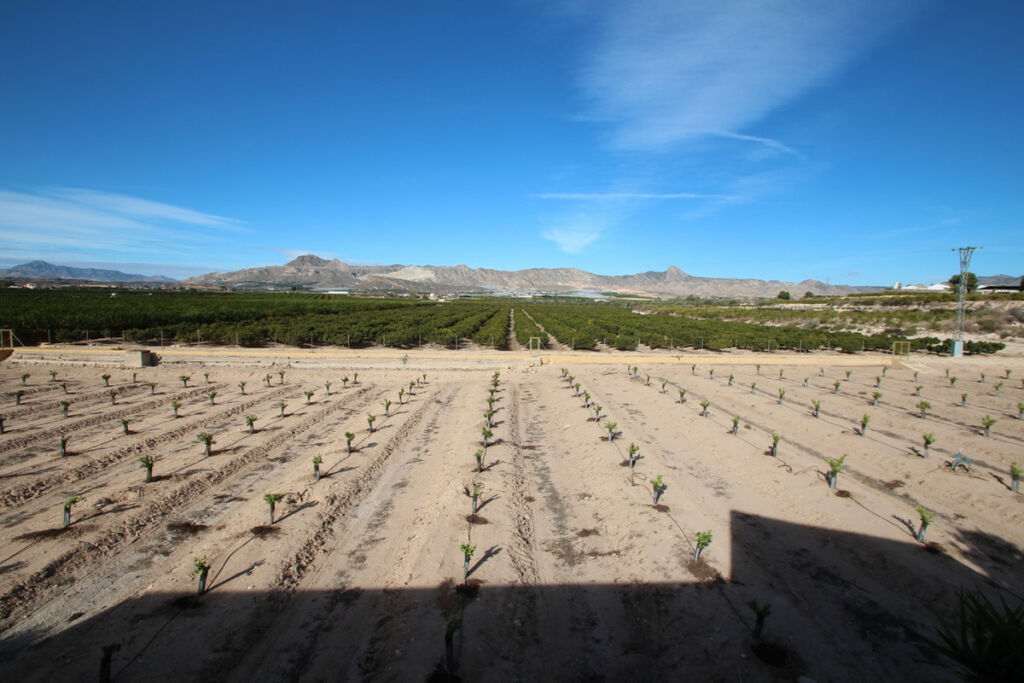 Finca - Cortijo Murcia City Murcia - image 23