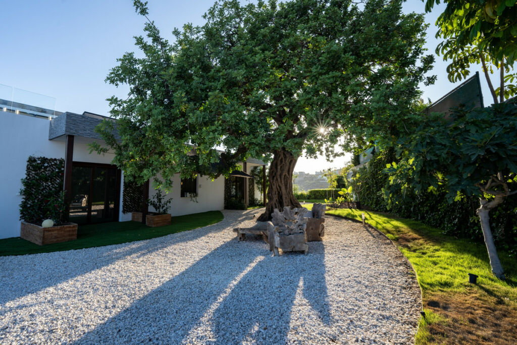 Detached Villa Benahavís Málaga - image 25