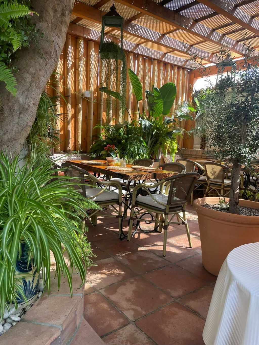 Restaurant Nueva Andalucía Málaga - image 23
