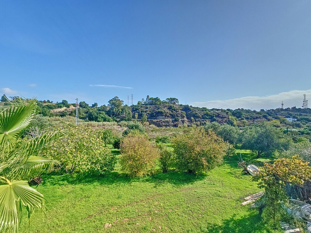 Finca - Cortijo El Padron Málaga - image 29