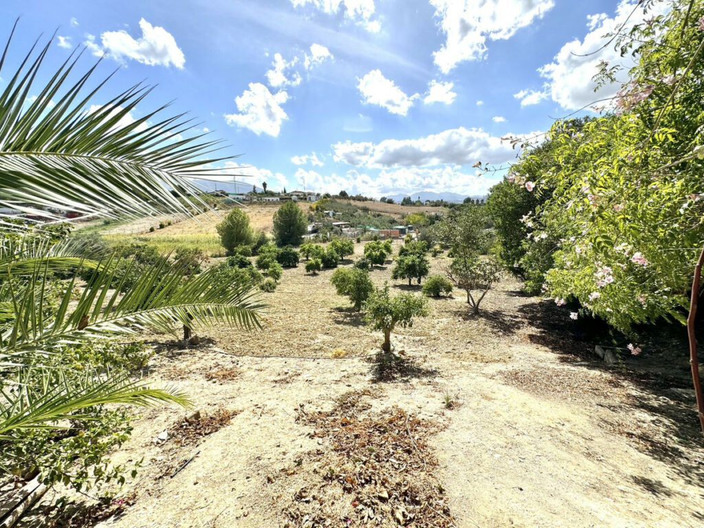 Finca - Cortijo Cártama Málaga - image 28