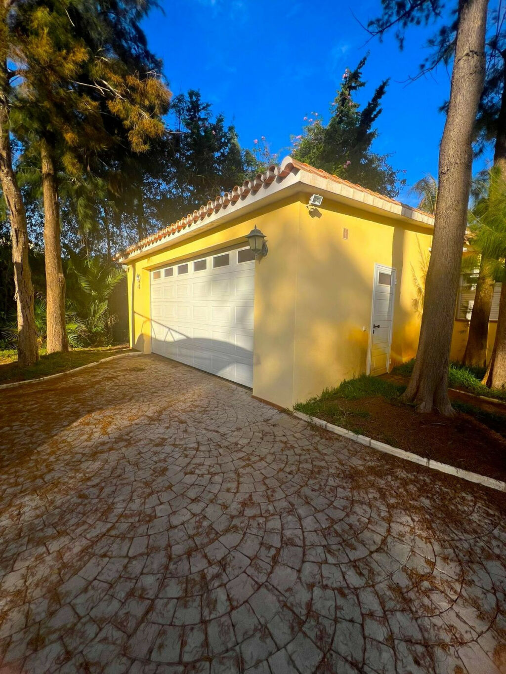 Detached Villa Elviria Málaga - image 37