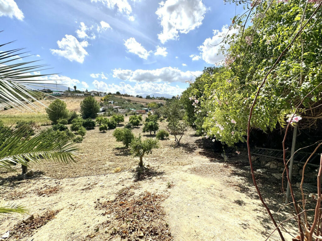 Finca - Cortijo Cártama Málaga - image 29
