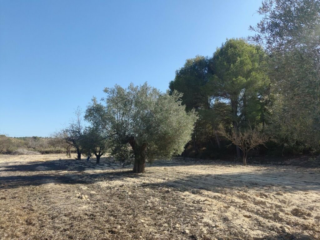 Residential Plot Torremendo Alicante - image 3