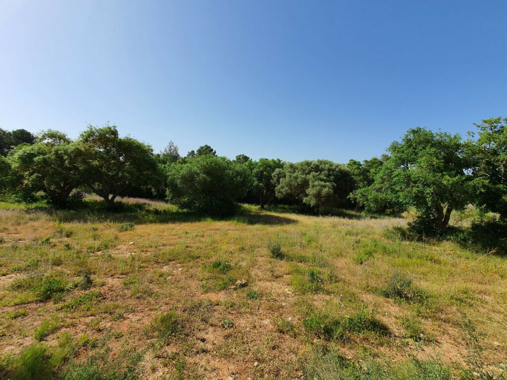 Residential Plot Sotogrande Cádiz - image 3