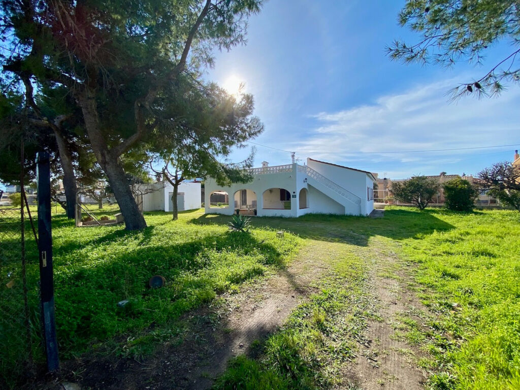Detached Villa Denia Alicante - image 3