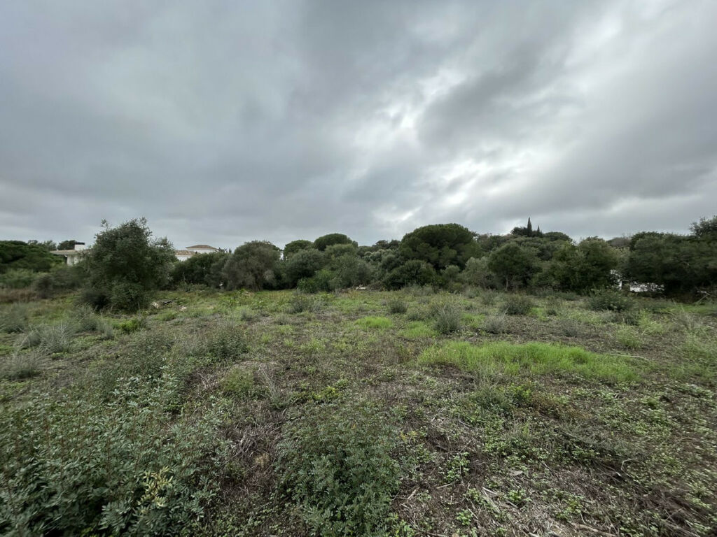Residential Plot Sotogrande Alto Cádiz - image 3