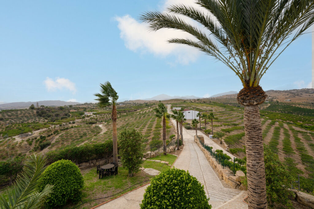 Finca - Cortijo Pizarra Málaga - image 31